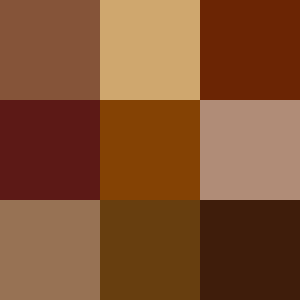 300x300 Filecolor Icon Brown