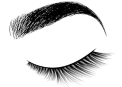 Brows Icon at Vectorified.com | Collection of Brows Icon free for ...