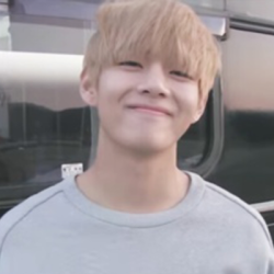 250x250 Icons Bts Tumblr