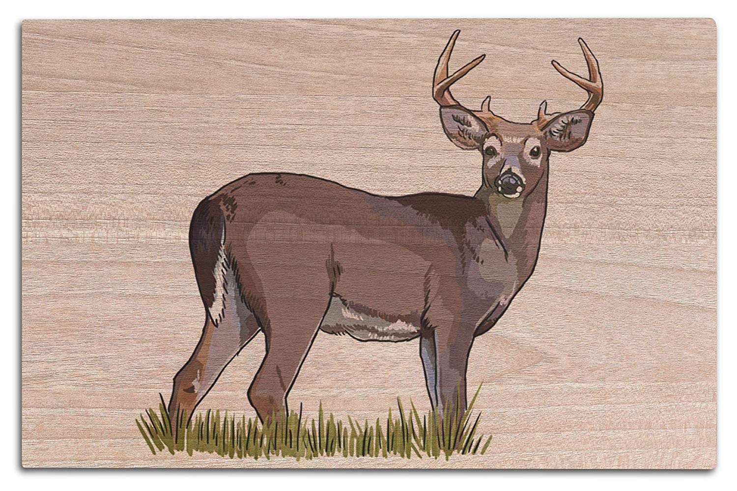 1500x1000 Lantern Press Deer Buck