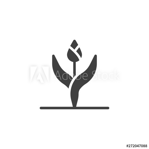 500x500 Tulip Bud Vector Icon Filled Flat Sign For Mobile Concept And Web