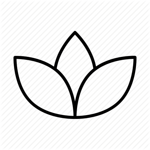 512x512 Bud, Flower, Lotus, Nature, Petal Icon