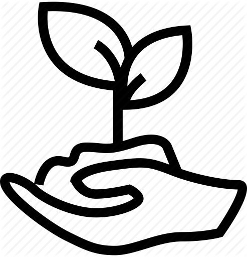 493x512 Bud, Hand, Leaf, Plant, Seedling Icon