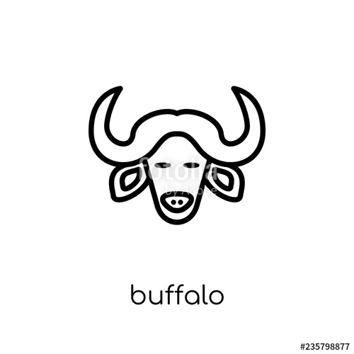 500x500 Buffalo Icon Trendy Modern Flat Linear Vector Buffalo Icon