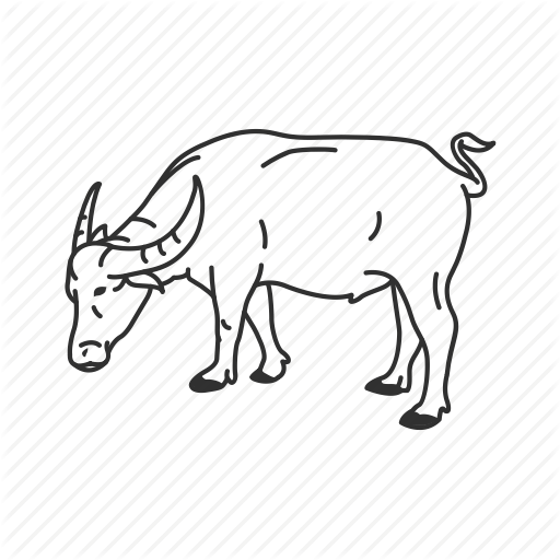 512x512 Cow, Large Land Mammal, Mammal, Water Buffalo Icon