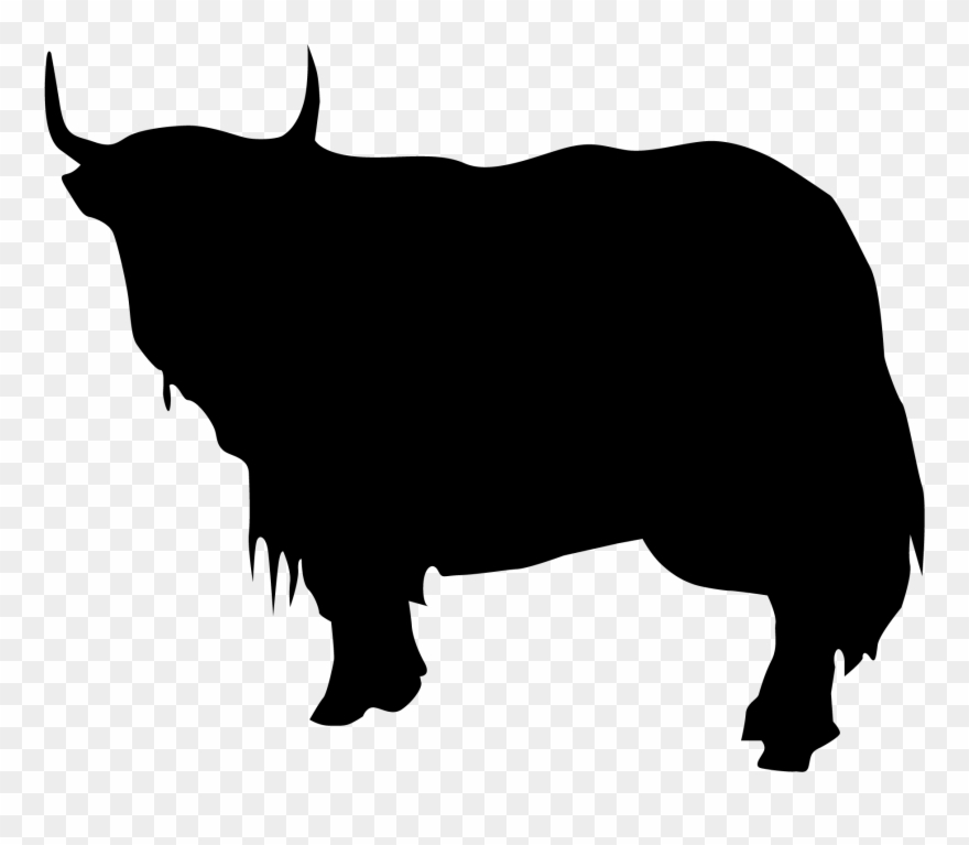 880x767 Yakin' Around