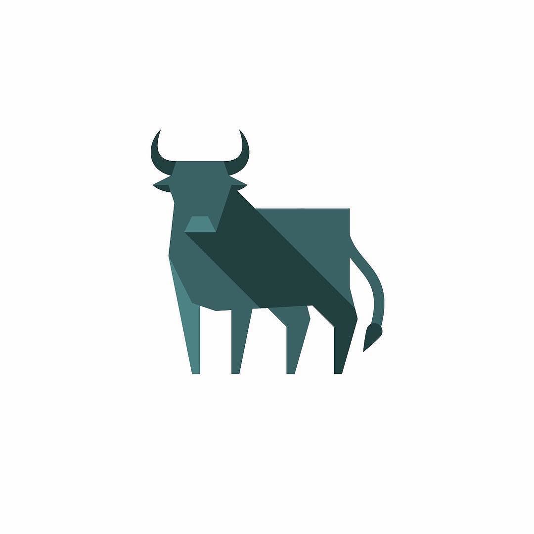 1080x1080 Bull Icon