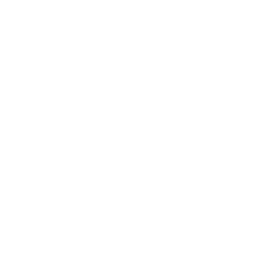 256x256 White Bull Icon