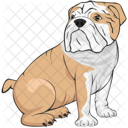 256x256 Bulldog Icon Of Flat Style