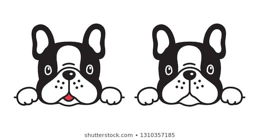 520x280 Dog Vector French Bulldog Icon Character Cartoon Puppy Smile Logo