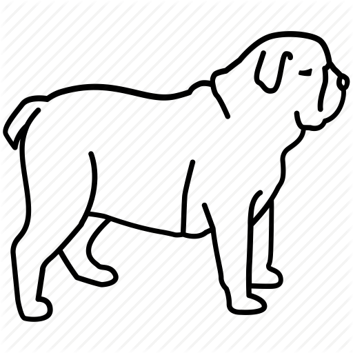 512x512 British, Bulldog, Dog, Pet, Pitbull, Pug, Terrier Icon