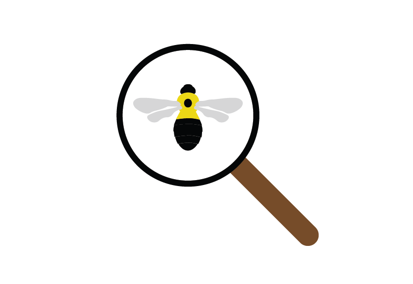 834x574 Bumble Bees Of Wisconsin Online Guide, Information, And Ongoing