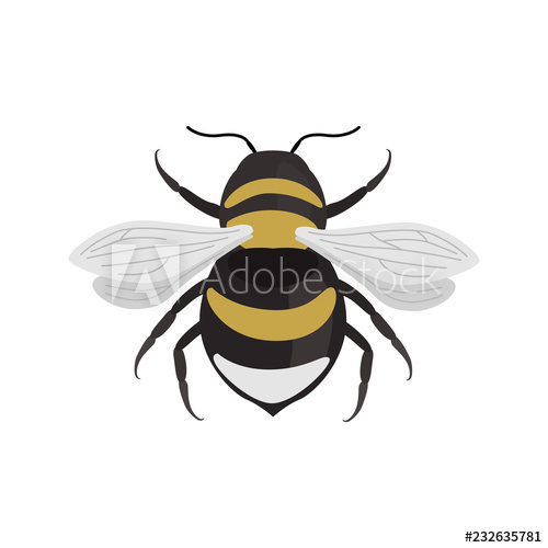 46 Bumblebee icon images at Vectorified.com