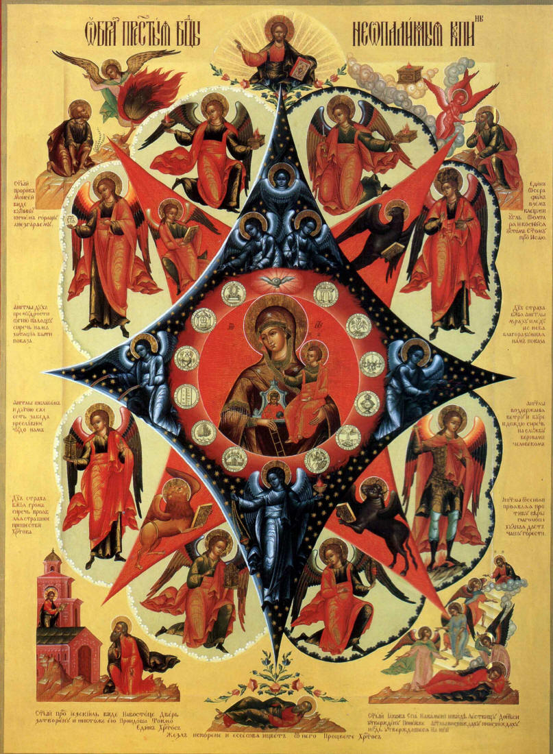 Burning Bush Icon at Vectorified.com | Collection of Burning Bush Icon ...