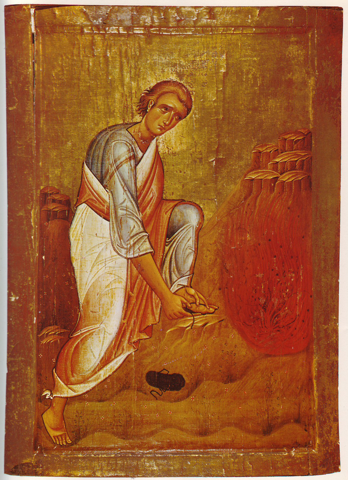 Burning Bush Icon at Vectorified.com | Collection of Burning Bush Icon ...