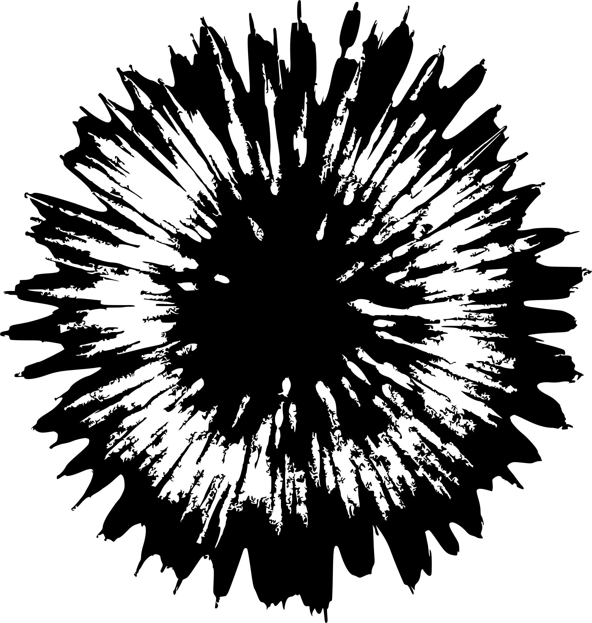 1888x1987 Star Burst Icons Png