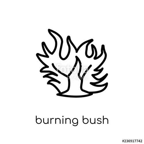 500x500 Burning Bush Icon Trendy Modern Flat Linear Vector Burning Bush