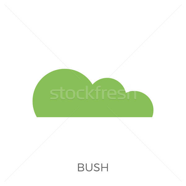 600x600 Bush Icon Vector Vector Illustration Oleksii Afanasiev