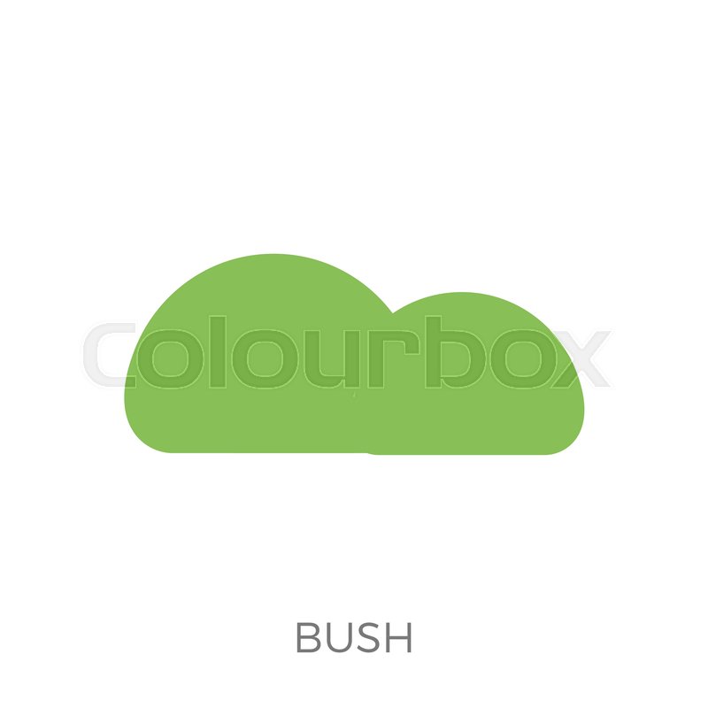 800x800 Bush Icon Vector Isolated On White Stock Vector Colourbox