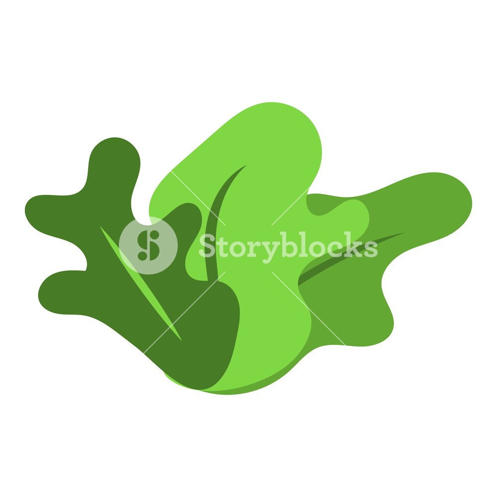 1000x1000 Bush Icon Isometric Of Bush Vector Icon For Web Design Isolated
