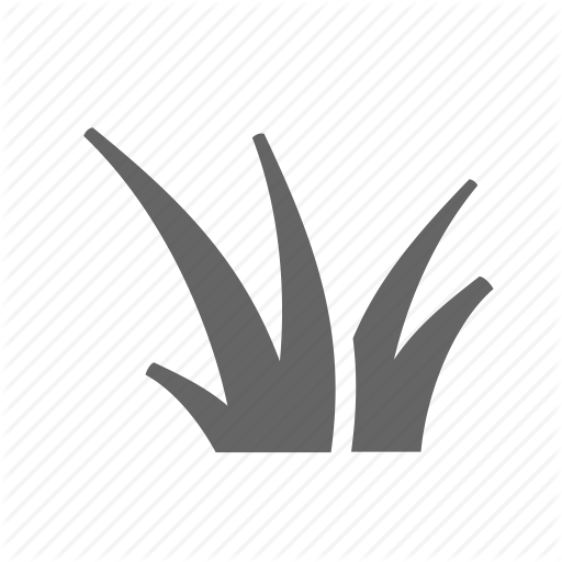 512x512 Bush, Cluster, Grass, Herb, Perennial, Plant, Shrub Icon
