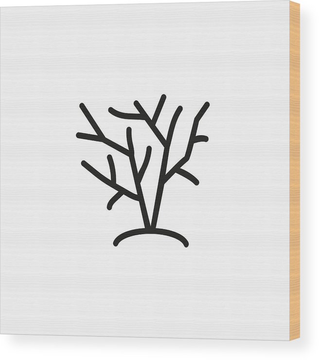 656x740 Growing Bush Icon Wood Print