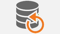 Business Continuity Icon Resized And Color 210x120 Business Continuity Icon Resized And Color