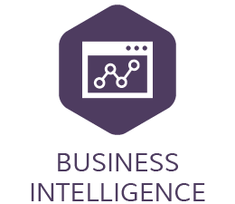 260x225 Ecd Systems Icon Business Intelligence Ecd Systems