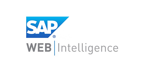 Sap Businessobjects Web Intelligence Overview 490x247 Sap Businessobjects Web Intelligence Overview