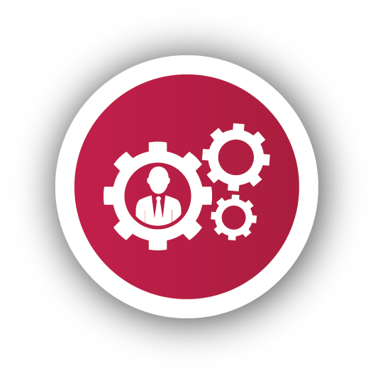 Vebridge 533x533 Vebridge