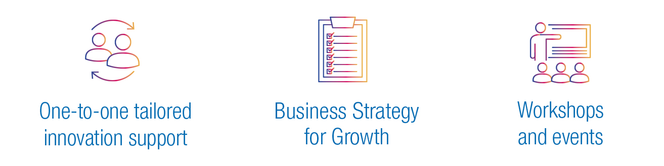 1313x329 Business Strategy Icon