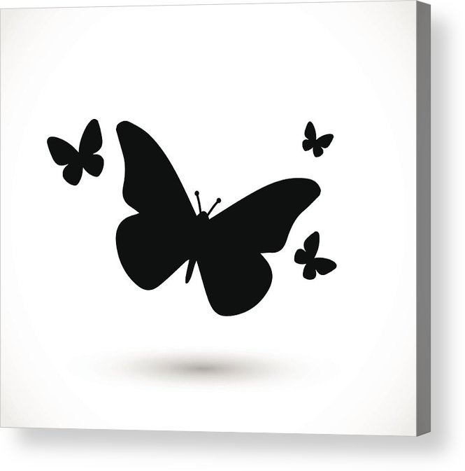 665x673 Butterfly Icon Vector Acrylic Print