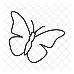 256x256 Butterfly Icon Of Line Style