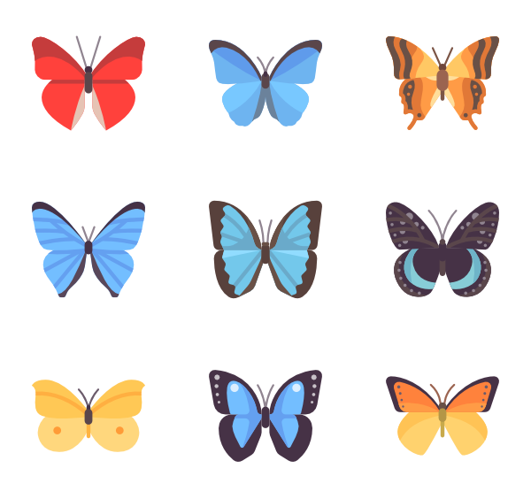 600x564 Butterfly Icons