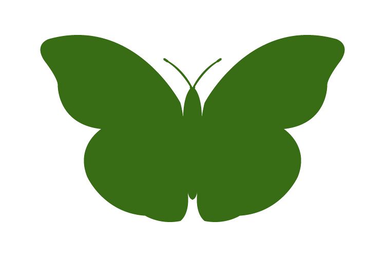 750x500 Butterfly Icon