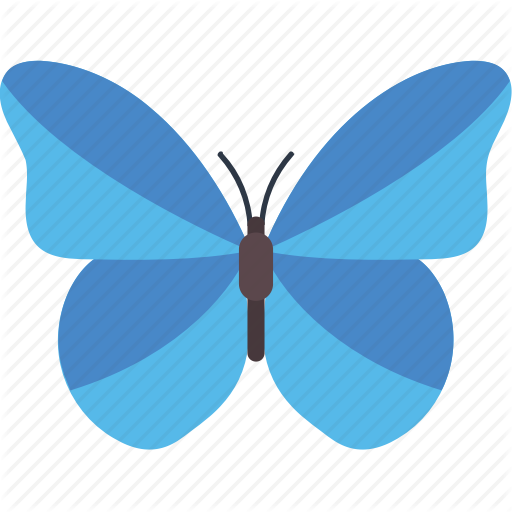 512x512 Blue Morpho Butterfly, Butterfly, Butterfly Specie, Butterfly