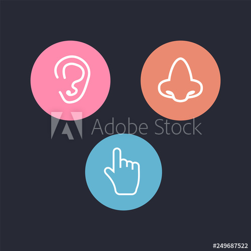 500x500 Five Senses Icon Sets Of Icons Representing The Five Senses