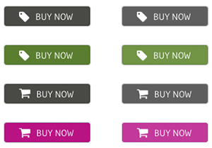 300x210 Buy Now Icon Buttons