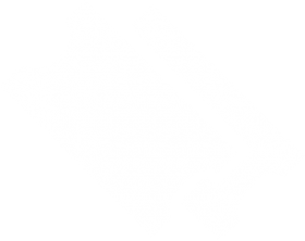 280x222 Download Buy Tickets Icon