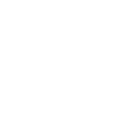 256x256 Free White Letter C Icon
