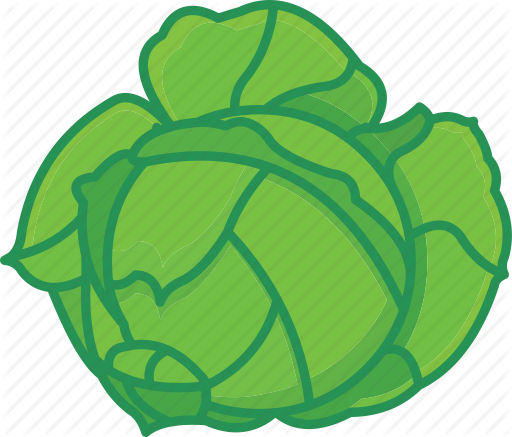 Cabbage Icon