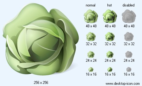 464x280 Cabbage Icon Image Desktop Buffet Icons
