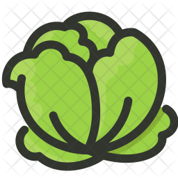 256x256 Cabbage Icon Of Colored Outline Style