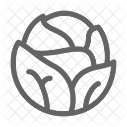 256x256 Cabbage Icon Of Line Style