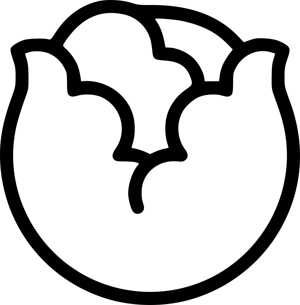 980x996 Cabbage Png Icon Free Download