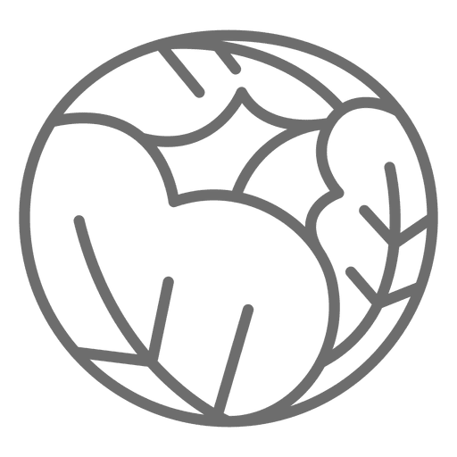 512x512 Cabbage Icon