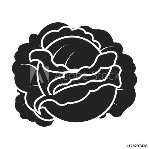 500x500 Cabbage Icon In Black Style Isolated On White Background Plant