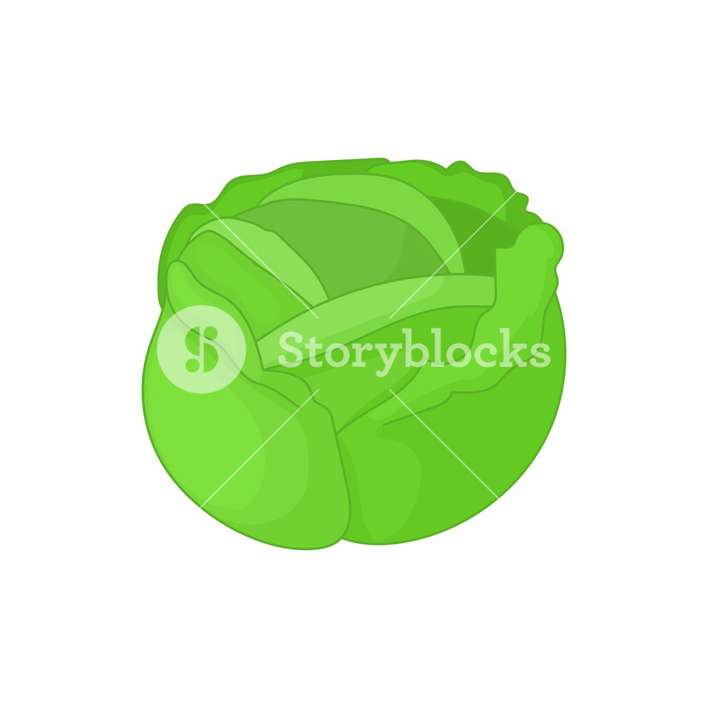 1000x1000 Cabbage Icon In Cartoon Style On A White Background Royalty Free