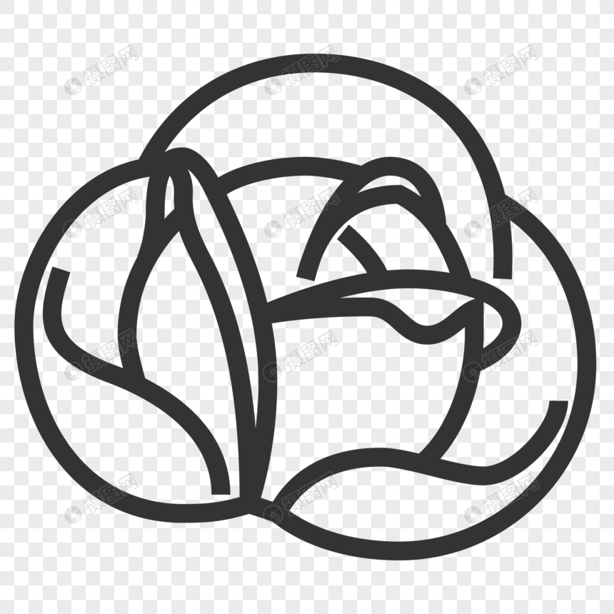 860x860 Cabbage Icon Png Image Picture Free Download