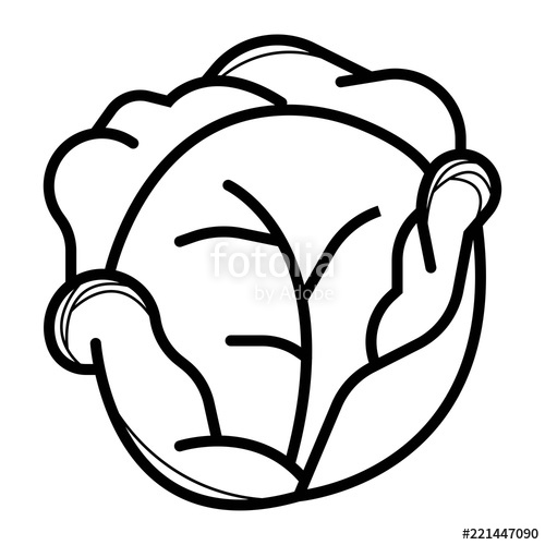 500x500 Cabbage Icon Vector Stock Image And Royalty Free Vector